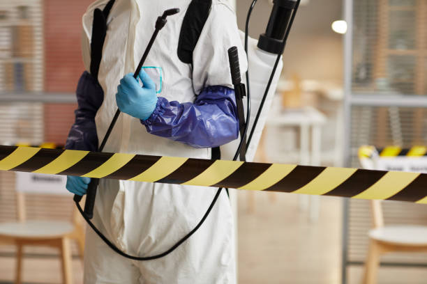Professional Sewage Cleanup technician working in Ranger, TX